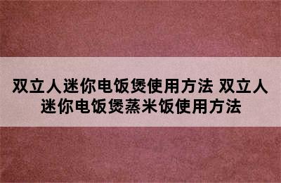 双立人迷你电饭煲使用方法 双立人迷你电饭煲蒸米饭使用方法